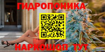 амф Шахты
