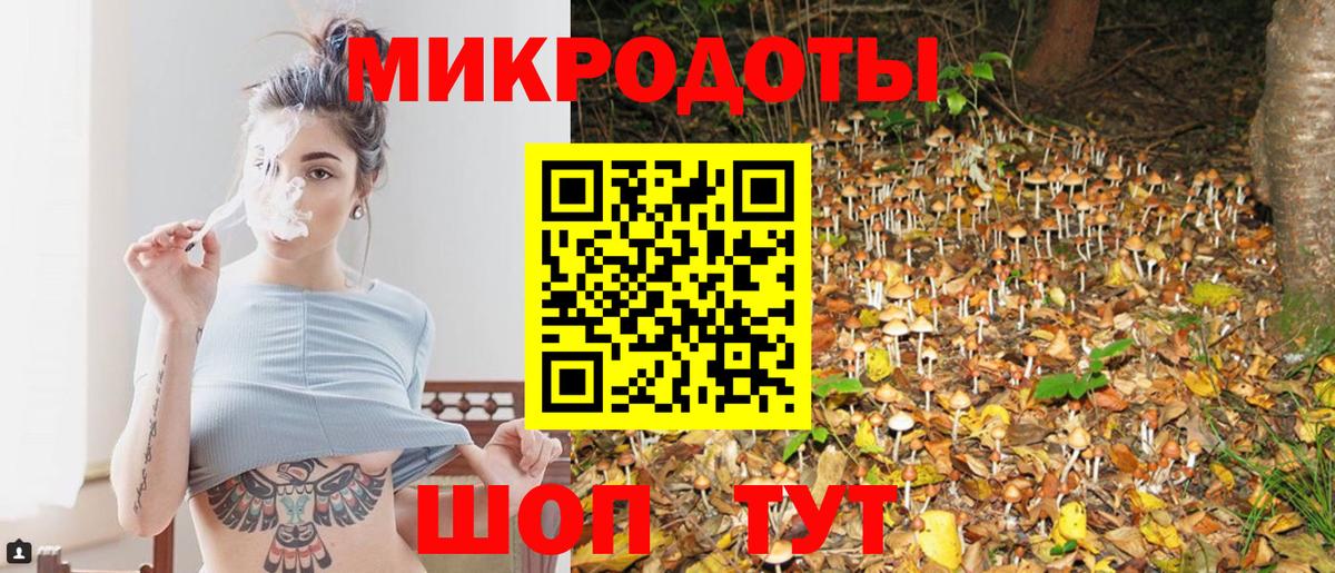 Донской  Псилоцибиновые грибы Psilocybine cubensis  Вход с VPN 