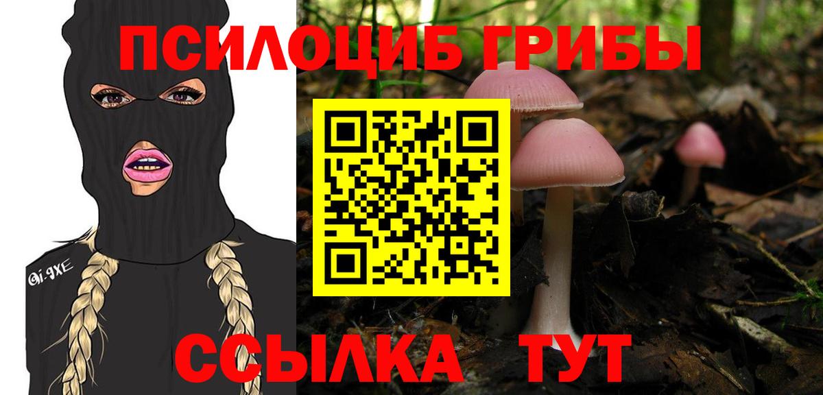 Лсд 25  Гашиш  Донской  Меф   Вход с VPN  МЕТ  Бошки Шишки  ГАШИШ  APVP СК  